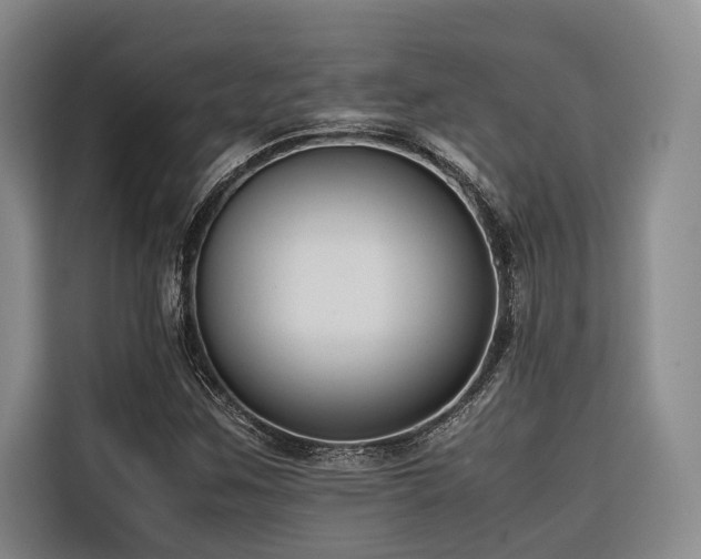 X0000116661259200912141313