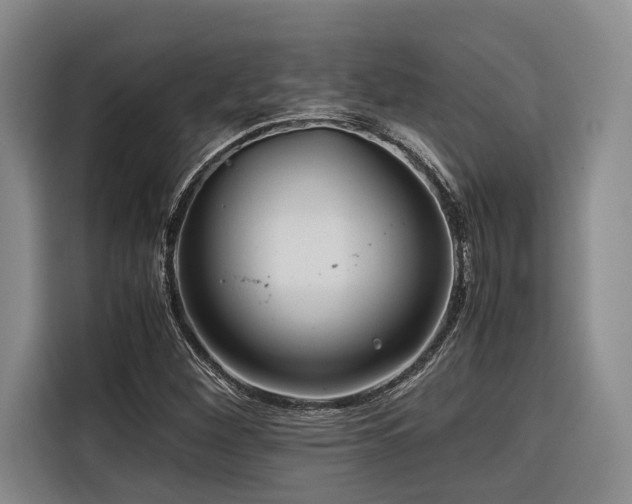 X0000116661260200912141313