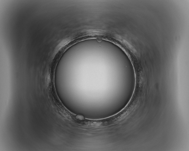 X0000116661261200912141313