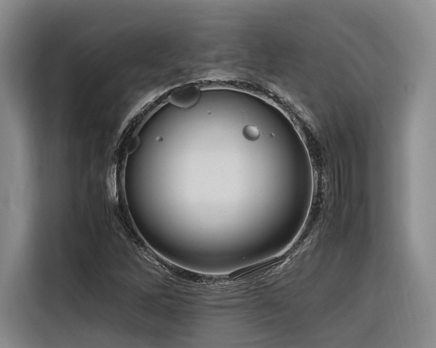 X0000116661262200912141313