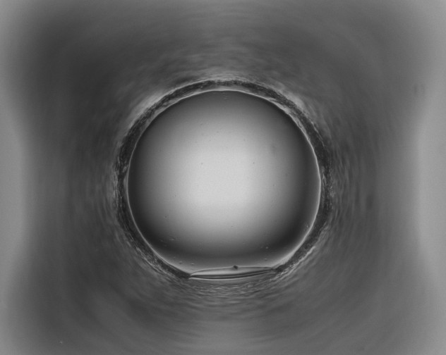 X0000116661263200912141313