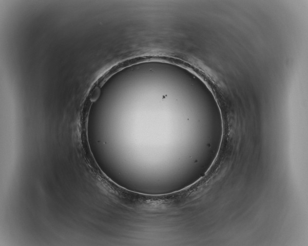 X0000116661264200912141313