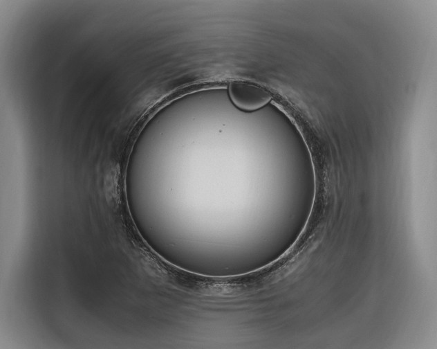 X0000116661265200912141313