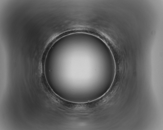 X0000116661267200912141313