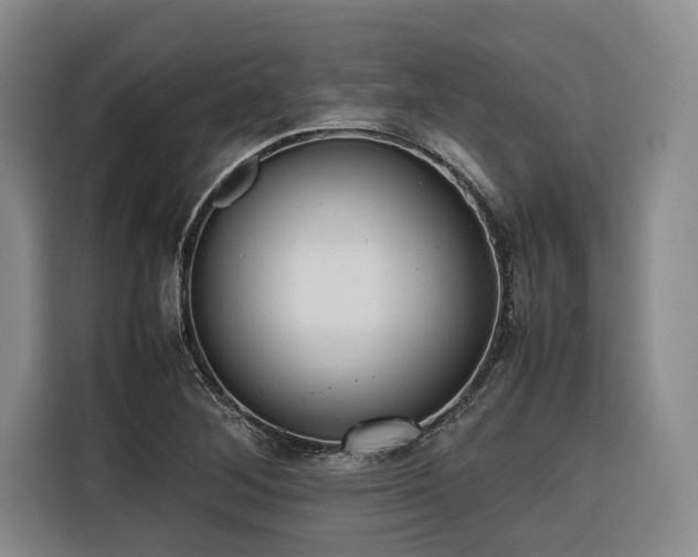 X0000116661268200912141313