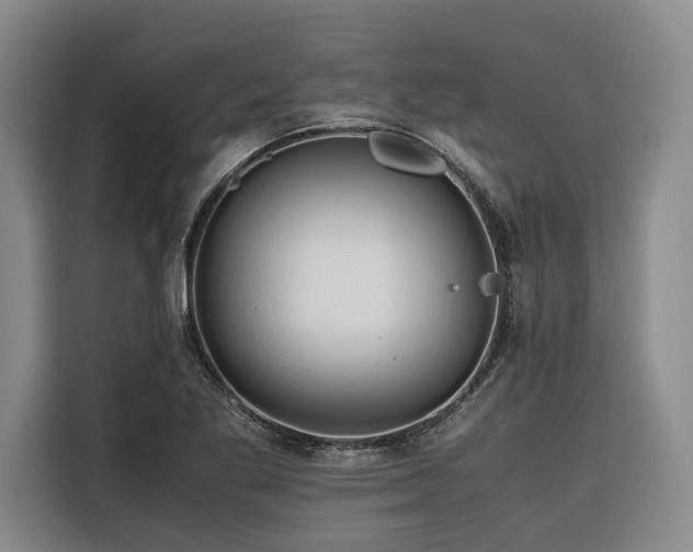 X0000116661269200912141313