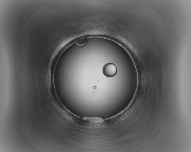 X0000116661270200912141313