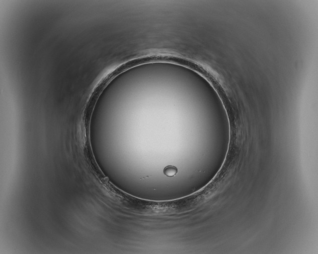 X0000116661271200912141313