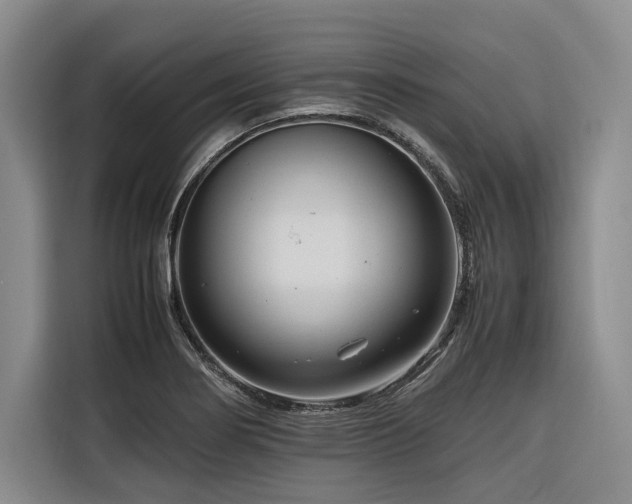 X0000116661274200912141313