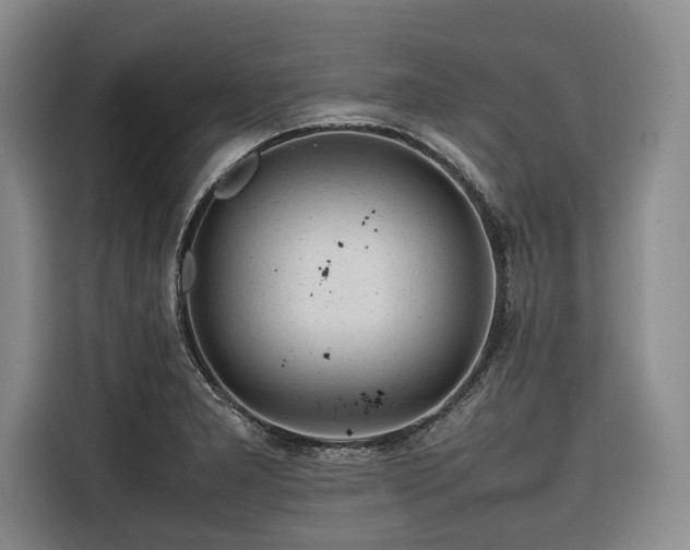 X0000116661277200912141313