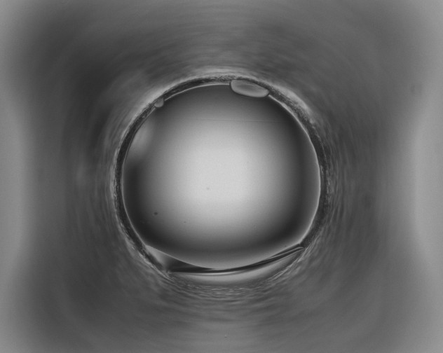 X0000116661279200912141313