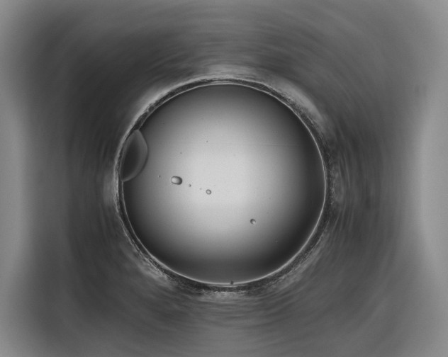 X0000116661280200912141313