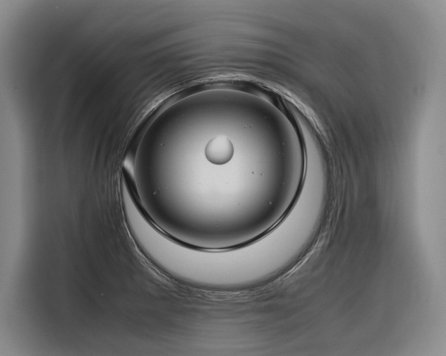 X0000116661281200912141313