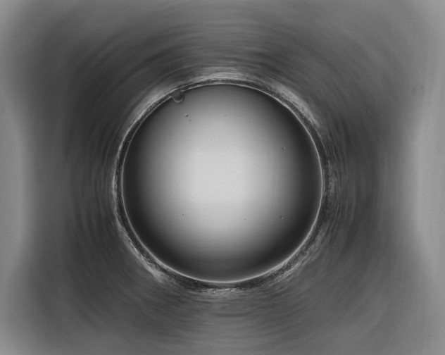 X0000116661282200912141313