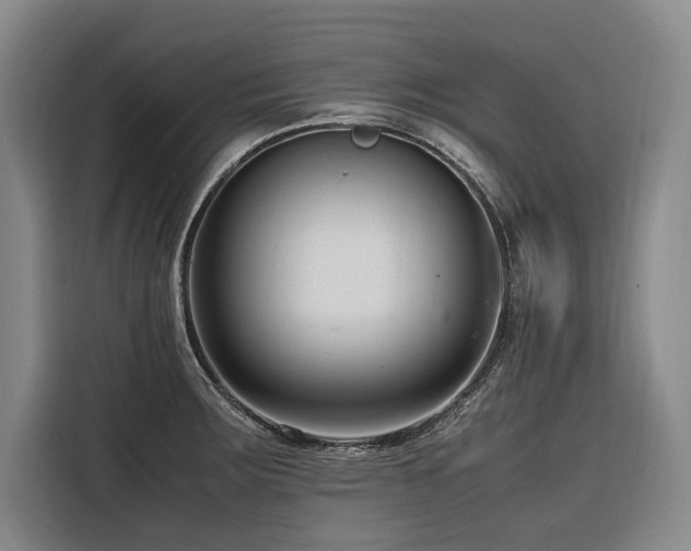 X0000116661283200912141313