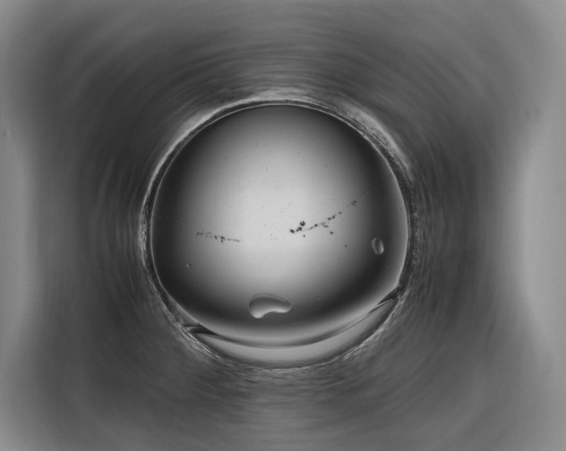 X0000116661284200912141313