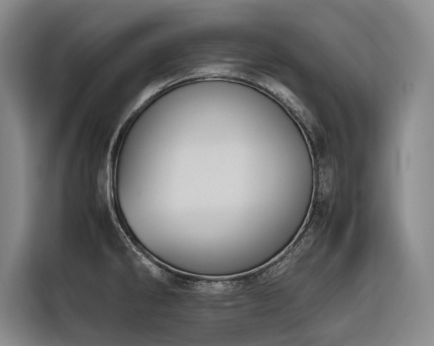 X0000116661286200912141313