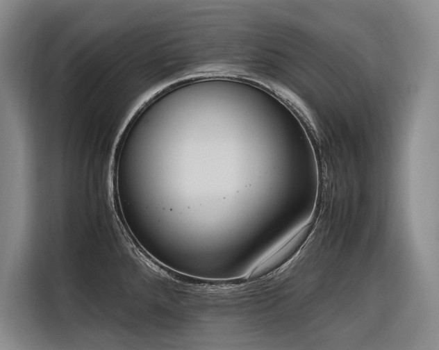 X0000116661288200912141313