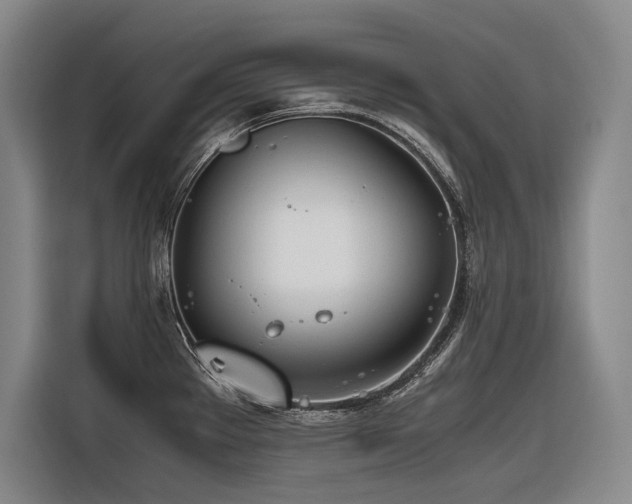 X0000116661289200912141313