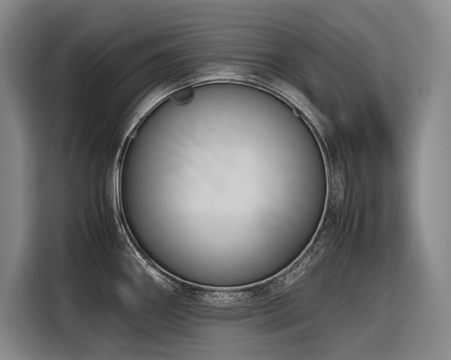 X0000116661290200912141313