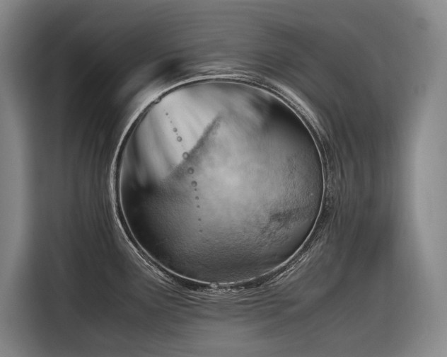 X0000116661291200912141313