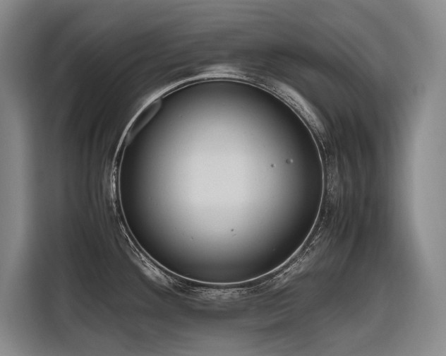 X0000116661292200912141313