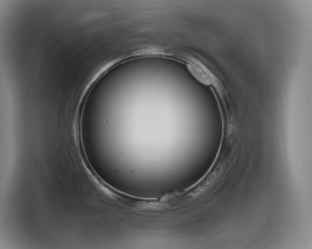 X0000116661293200912141313