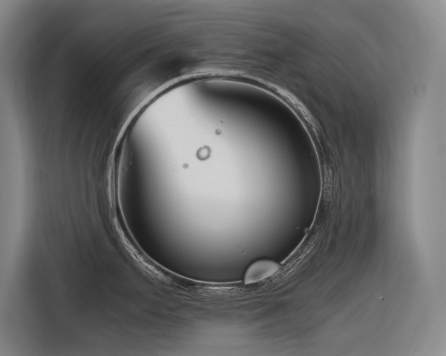 X0000116661295200912141313