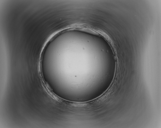 X0000116661296200912141313