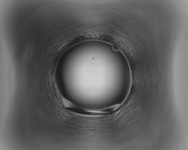 X0000116661297200912141312