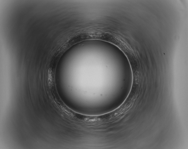 X0000116661298200912141312