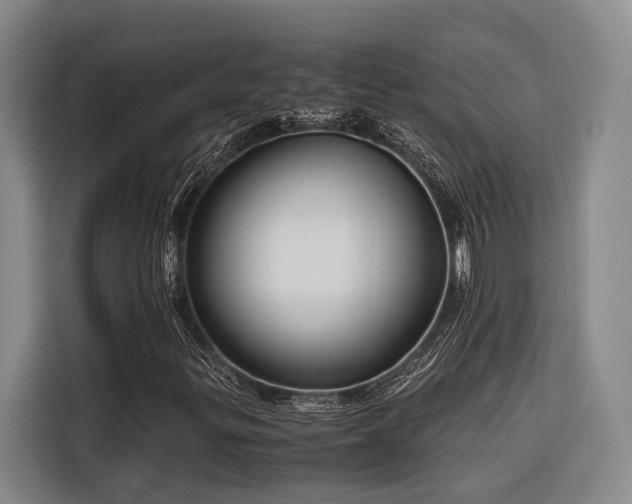 X0000116661299200912141312