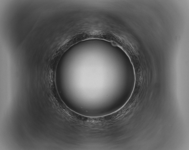 X0000116661301200912141312