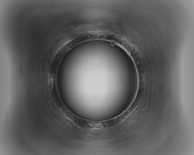 X0000116661302200912141312