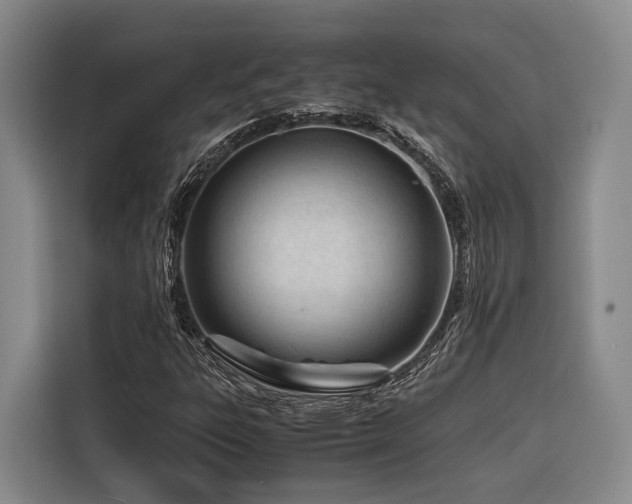 X0000116661303200912141312