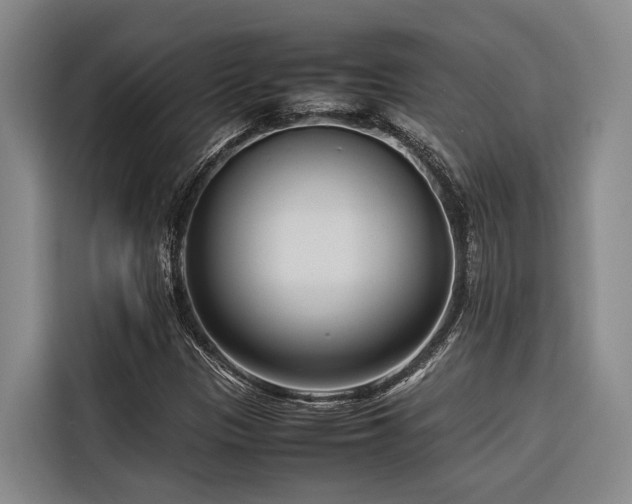 X0000116661305200912141312