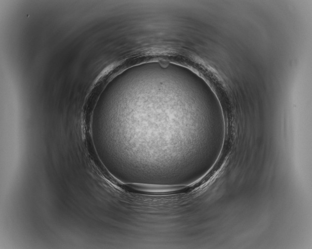 X0000116661306200912141312