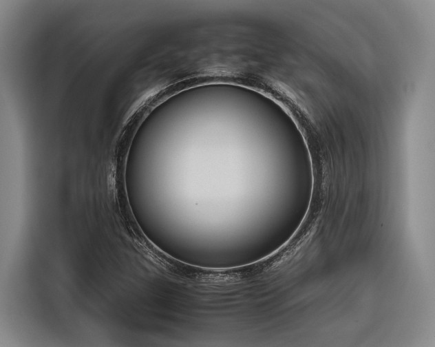 X0000116661307200912141312