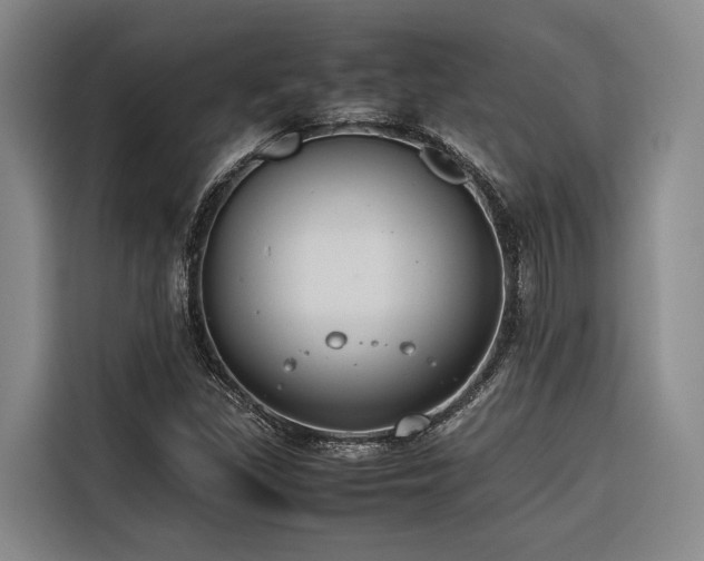 X0000116661309200912141312