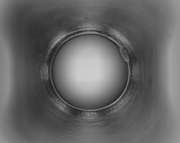 X0000116661310200912141312