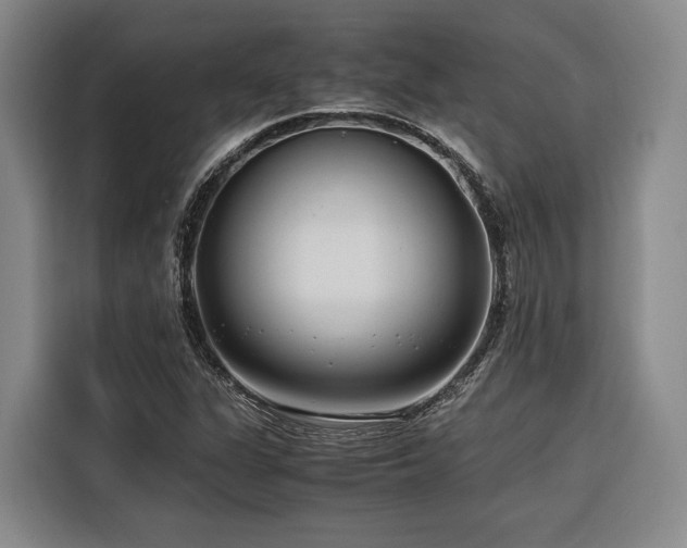 X0000116661311200912141312