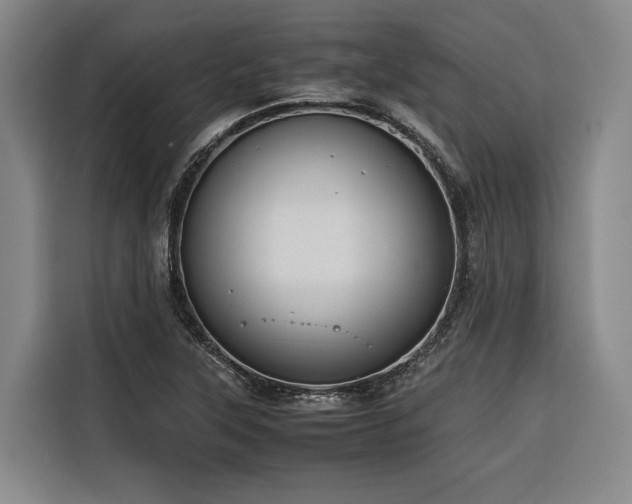 X0000116661315200912141312