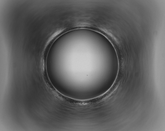 X0000116661317200912141312