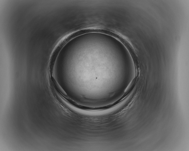 X0000116661319200912141312