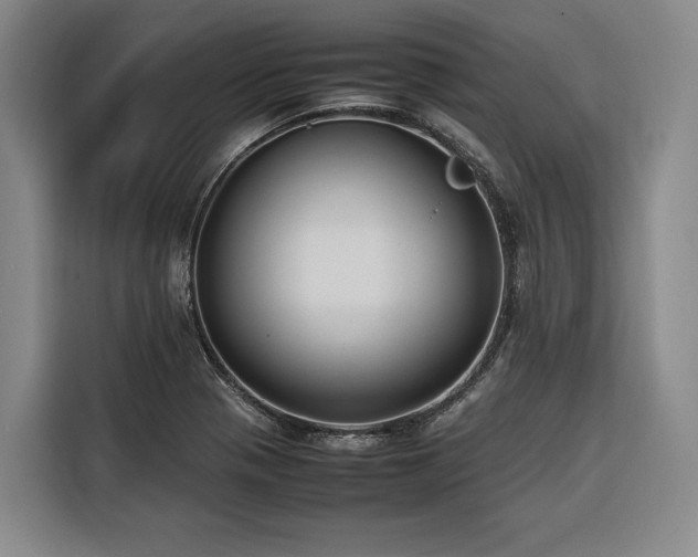 X0000116661321200912141313