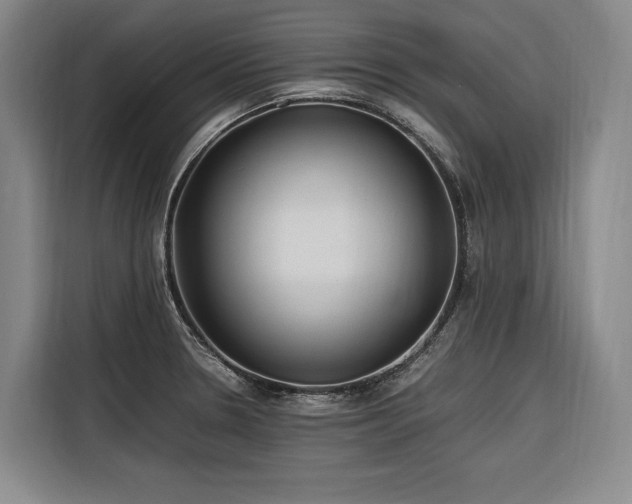 X0000116661330200912141313