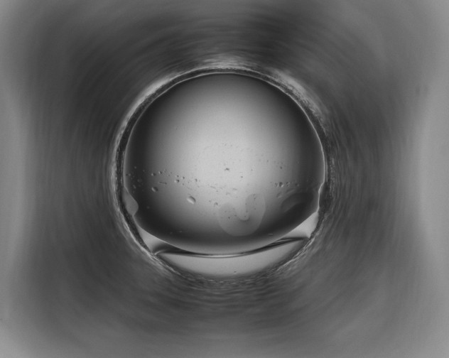 X0000116661331200912141313