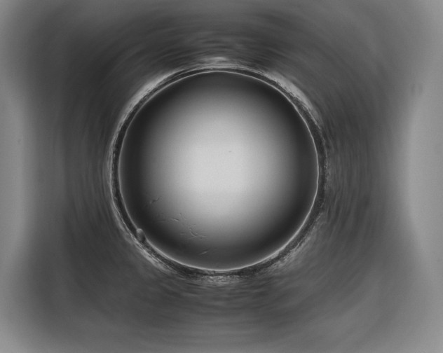 X0000116661333200912141313