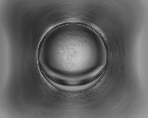 X0000116661334200912141313