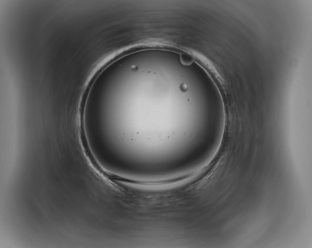 X0000116661335200912141313